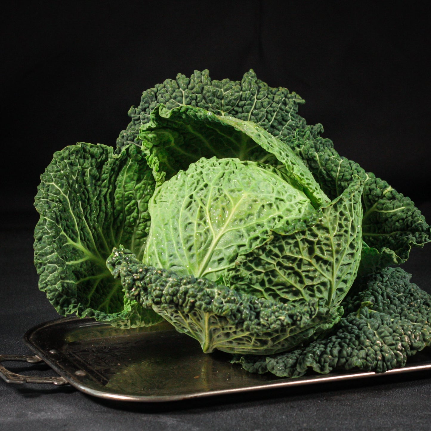 Kel - hlávkový 1ks