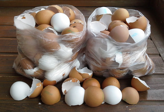 Tojáčné Škrupiny: Praktický Spôsob Recyklácie v Ekologickej Domácnosti