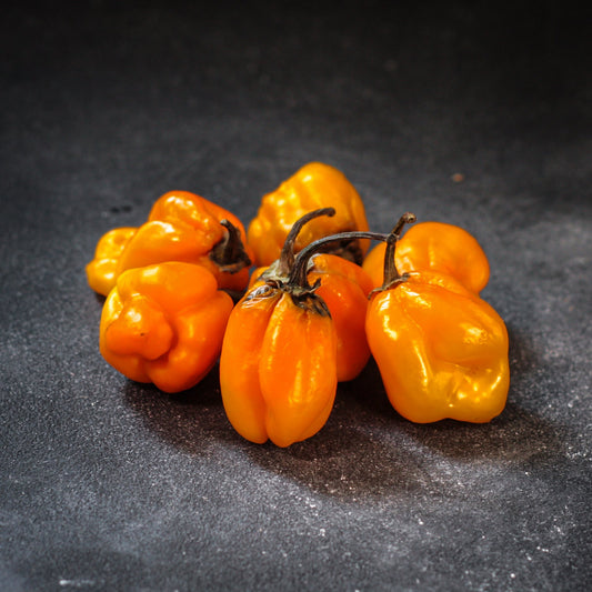 Čili papričky Habanero (žlté) 50g