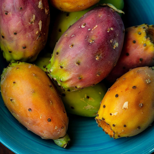 Kaktusová figa (opuncia) 1 ks