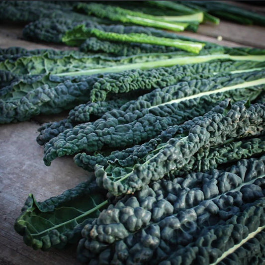 Kel čierny (Toskánsky) 250g